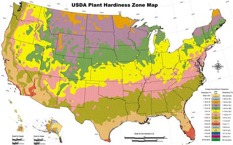 MAP Growing Zones Map United States